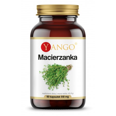 Macierzanka - ekstrakt - 90 kapsułek